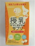 WAKODO和光堂．PM6 媽媽專屬元氣補給錠(哺乳期適用)