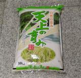 北海道天上的孕育10kg