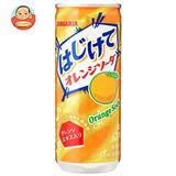 日本三佳利 橙苏打汽水250g