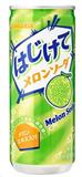 日本三佳利 蜜瓜苏打汽水250g