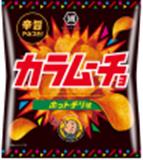 日本湖池屋 辣味薯片 55g